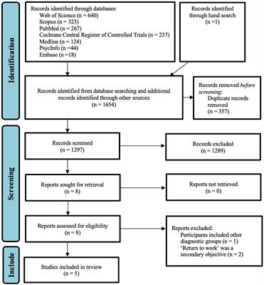 Addressing mood and fatigue in return-to-work programmes after stroke: a systematic review